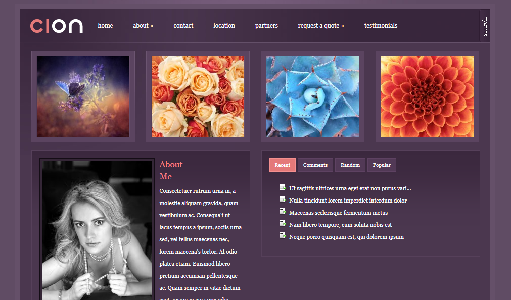 WordPress themes for travel blogs