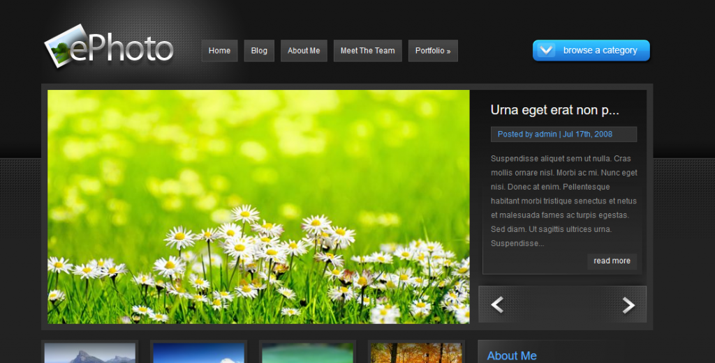 wordpress themes for photographers